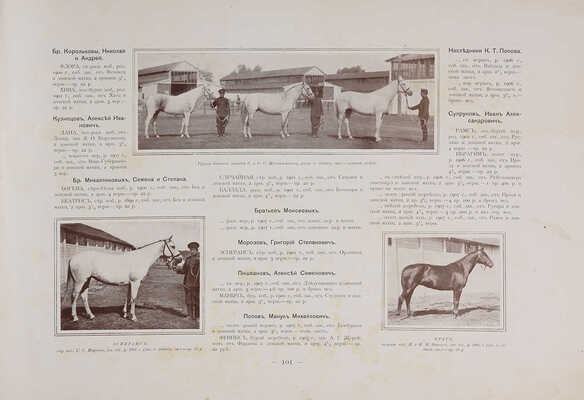 Альбом Всероссийской конской выставки в Москве 1910 г. ... С 232 автотип. в тексте. М.: Б. и., 1911.